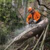 104582 БЕНЗОПИЛА STIHL MS 462 20"