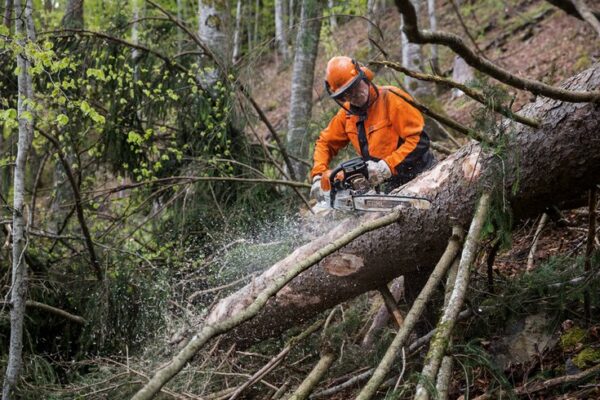 104582 БЕНЗОПИЛА STIHL MS 462 20"