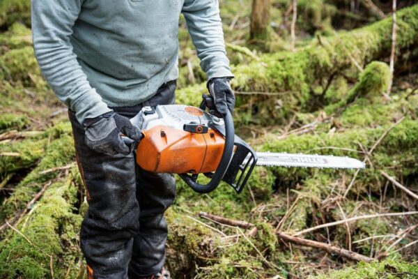 105355 БЕНЗОПИЛА STIHL MS 462 20"