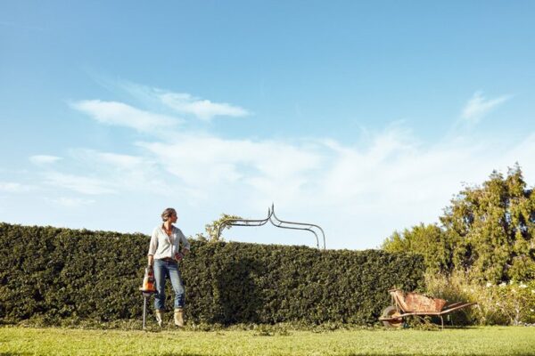 АККУМУЛЯТОРНЫЕ МОТОНОЖНИЦЫ STIHL HSA 56 SET (AK10, AL101)