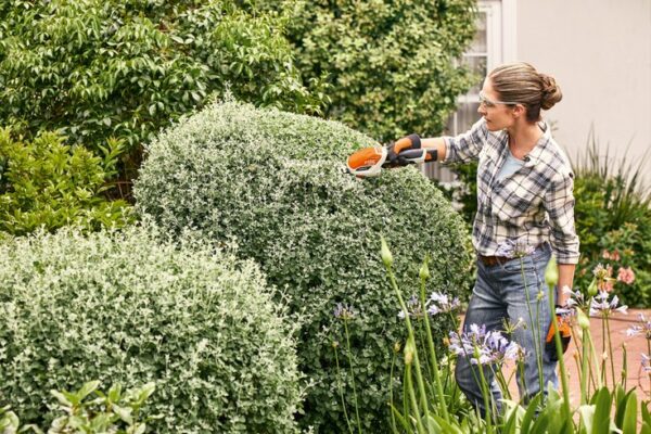 62361bc8 АККУМУЛЯТОРНЫЕ МОТОНОЖНИЦЫ STIHL HSA 26